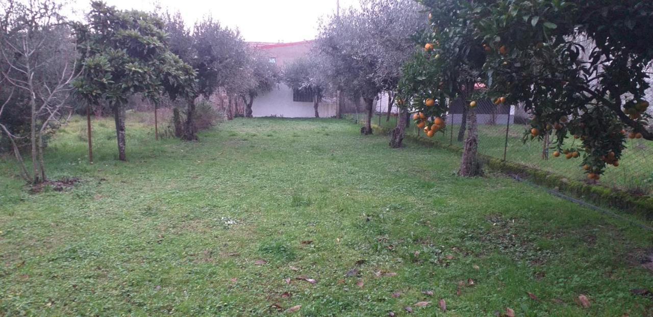 Villa Casa Do Adro Arcozelo  Exterior foto
